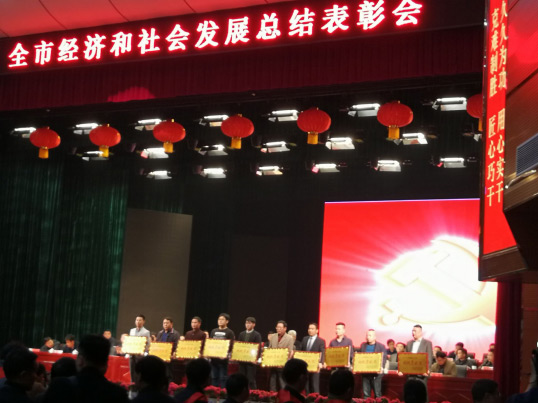 三码中一码免费领取
