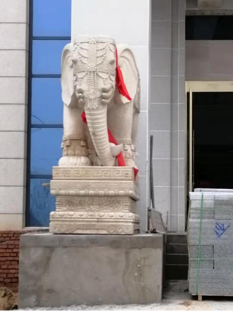 三码中一码免费领取