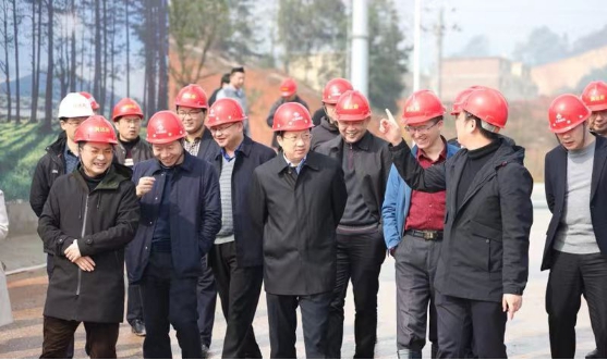 三码中一码免费领取