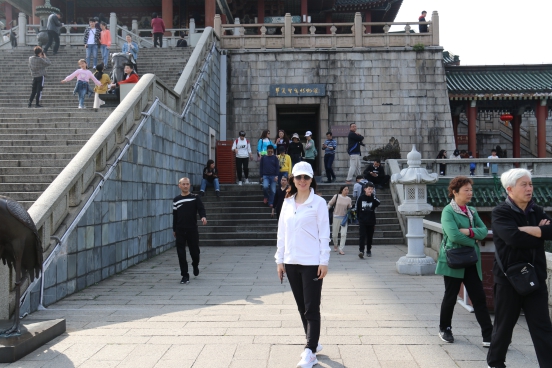 三码中一码免费领取