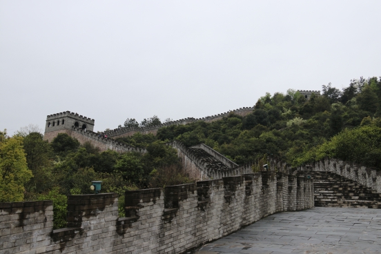 三码中一码免费领取
