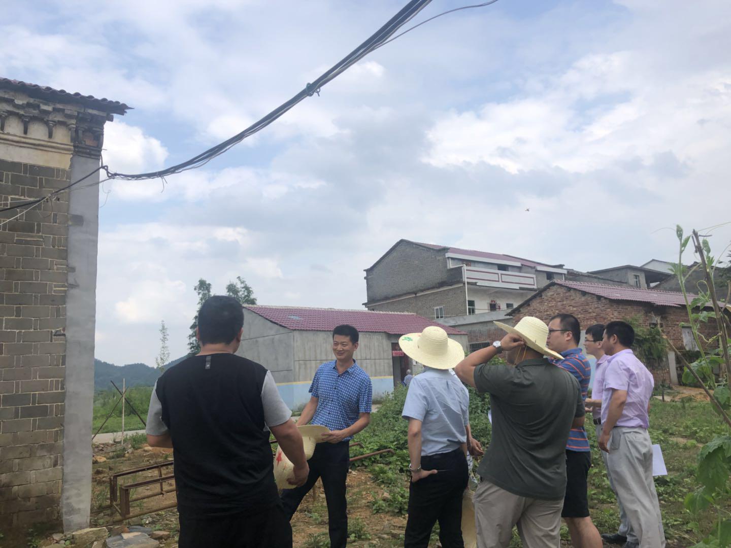 三码中一码免费领取