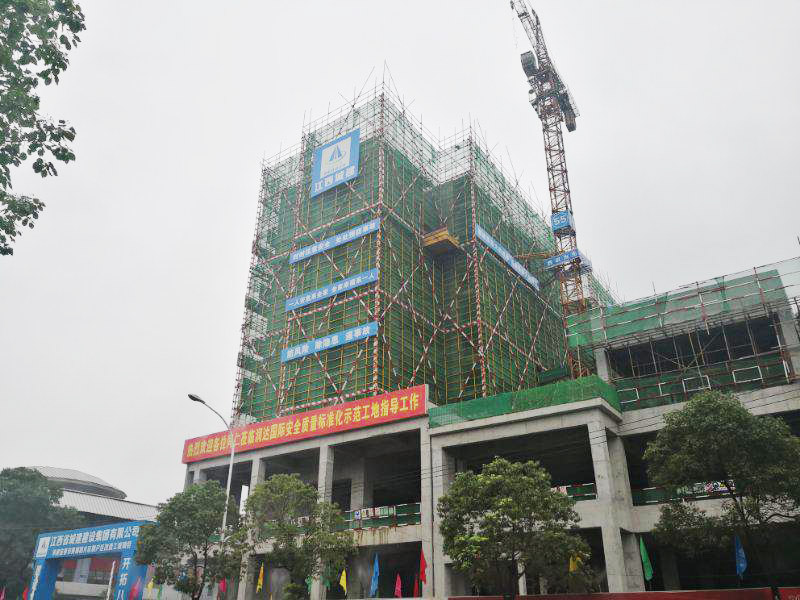 三码中一码免费领取